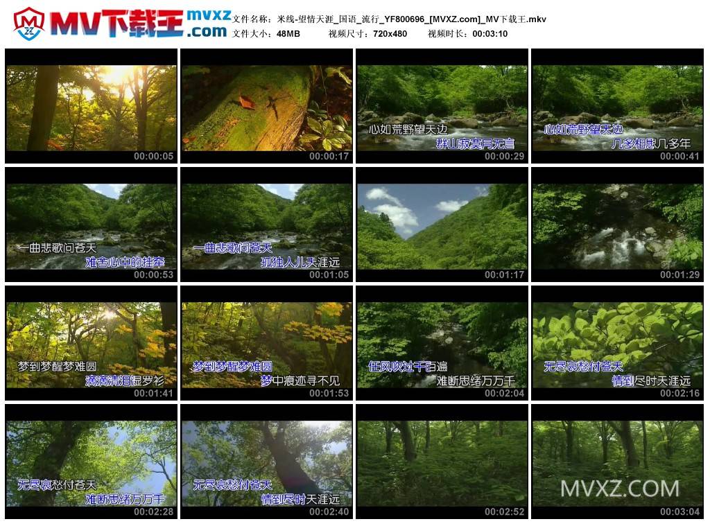 米线-望情天涯_国语_流行_YF800696